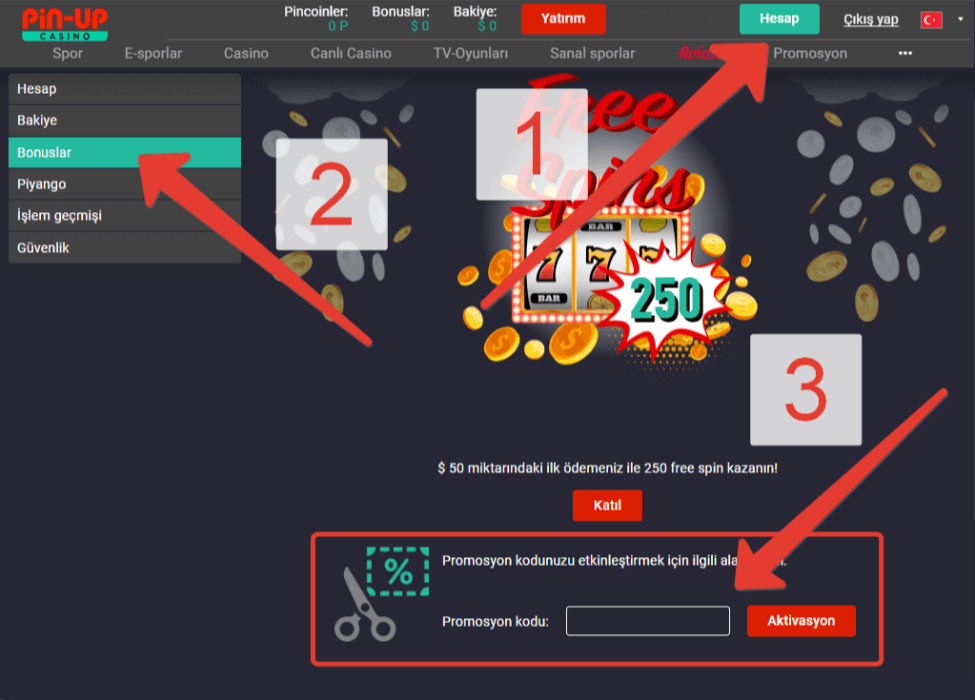 Pin-Up Aviator'a kayıt olduktan sonra promosyon kodunun etkinleştirilmesi